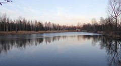 125_TZ60_P1060433_cr