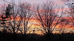 153_TZ60_P1060461_cr