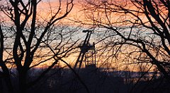 154_TZ60_P1060462_cr