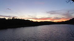 162_TZ60_P1060470_cr