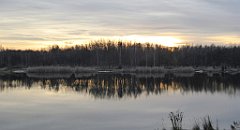 181_TZ60_P1060540_cr