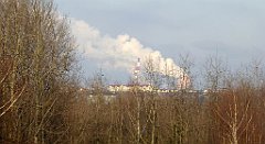 185_TZ60_P1060668_cr