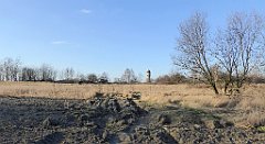 187_TZ60_P1060670_cr