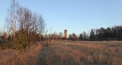 205_TZ60_P1060692_cr