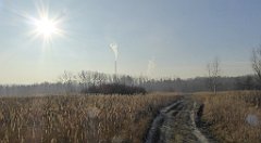 089_TZ60_P1060718_cr