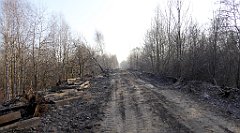 117_TZ60_P1060733_cr