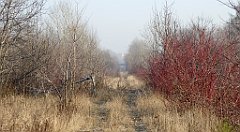 147_TZ60_P1060738_cr