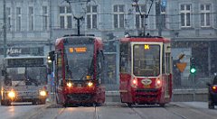 013_TZ60_P1070648_cr