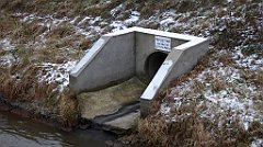 019_TZ60_P1070654_cr