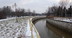 040_TZ60_P1070676_cr