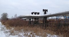 053_TZ60_P1070689_cr