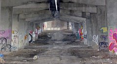 087_TZ60_P1070723_cr