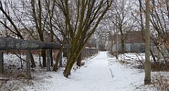 110_TZ60_P1070747_cr