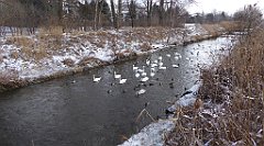 221_TZ60_P1070859_cr