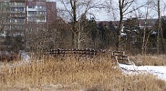 226_TZ60_P1070864_cr