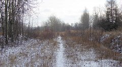 231_TZ60_P1070869_cr