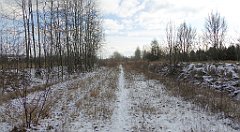 232_TZ60_P1070870_cr