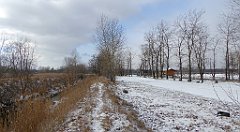 268_TZ60_P1070901_cr