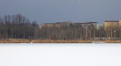 274_TZ60_P1070907_cr