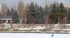 279_TZ60_P1070920_cr