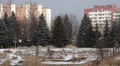 281_TZ60_P1070926_cr