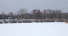 297_TZ60_P1070943_cr