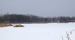 299_TZ60_P1070945_cr