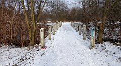 332_TZ60_P1070981_cr