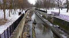 337_TZ60_P1070986_cr