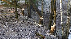 0021_TZ60_P1080342_cr