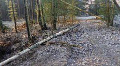 0030_TZ60_P1080347_cr