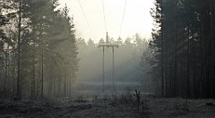 0033_TZ60_P1080350_cr