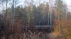 0041_TZ60_P1080354_cr