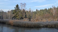 0063_TZ60_P1080365_cr