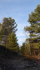 0093_TZ60_P1080374_cr