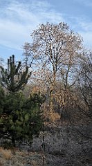 0105_TZ60_P1080383_cr