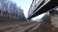 0138_TZ60_P1080413_cr