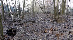 0148_TZ60_P1080423_cr