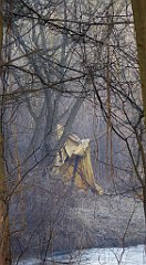 0150_TZ60_P1080425_cr