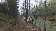 0182_TZ60_P1080448_cr