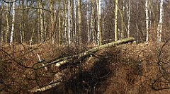 0217_TZ60_P1080475_cr