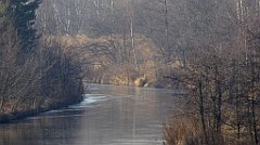 0240_TZ60_P1080488_cr