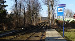 0313_TZ60_P1080553_cr