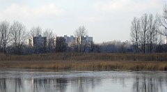 0382_TZ60_P1080621_cr