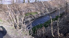 0413_TZ60_P1080658_cr