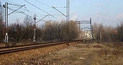 0437_TZ60_P1080665_cr