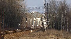 0439_TZ60_P1080666_cr