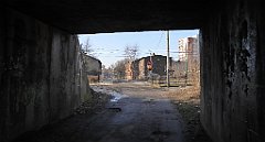 0449_TZ60_P1080676_cr