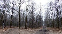 036_TZ60_P1080796_cr