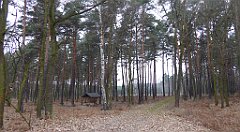 050_TZ60_P1080810_cr